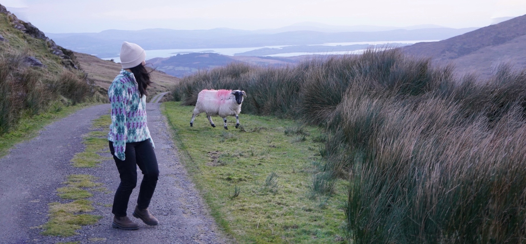 Regina on a hillside path in Ireland, meeting a sheep with a lake and mountains in the distance