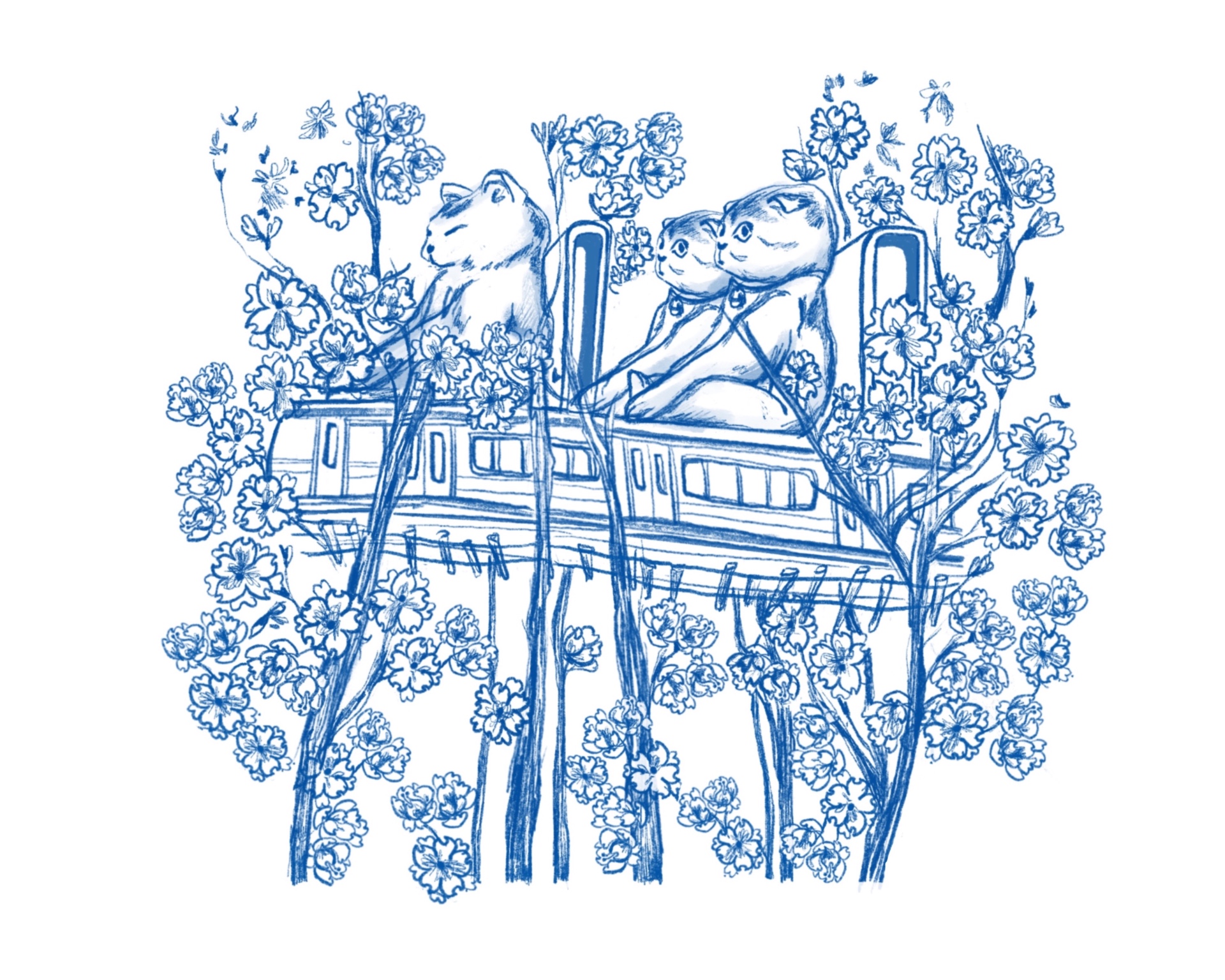 Cats and Cherry Blossoms