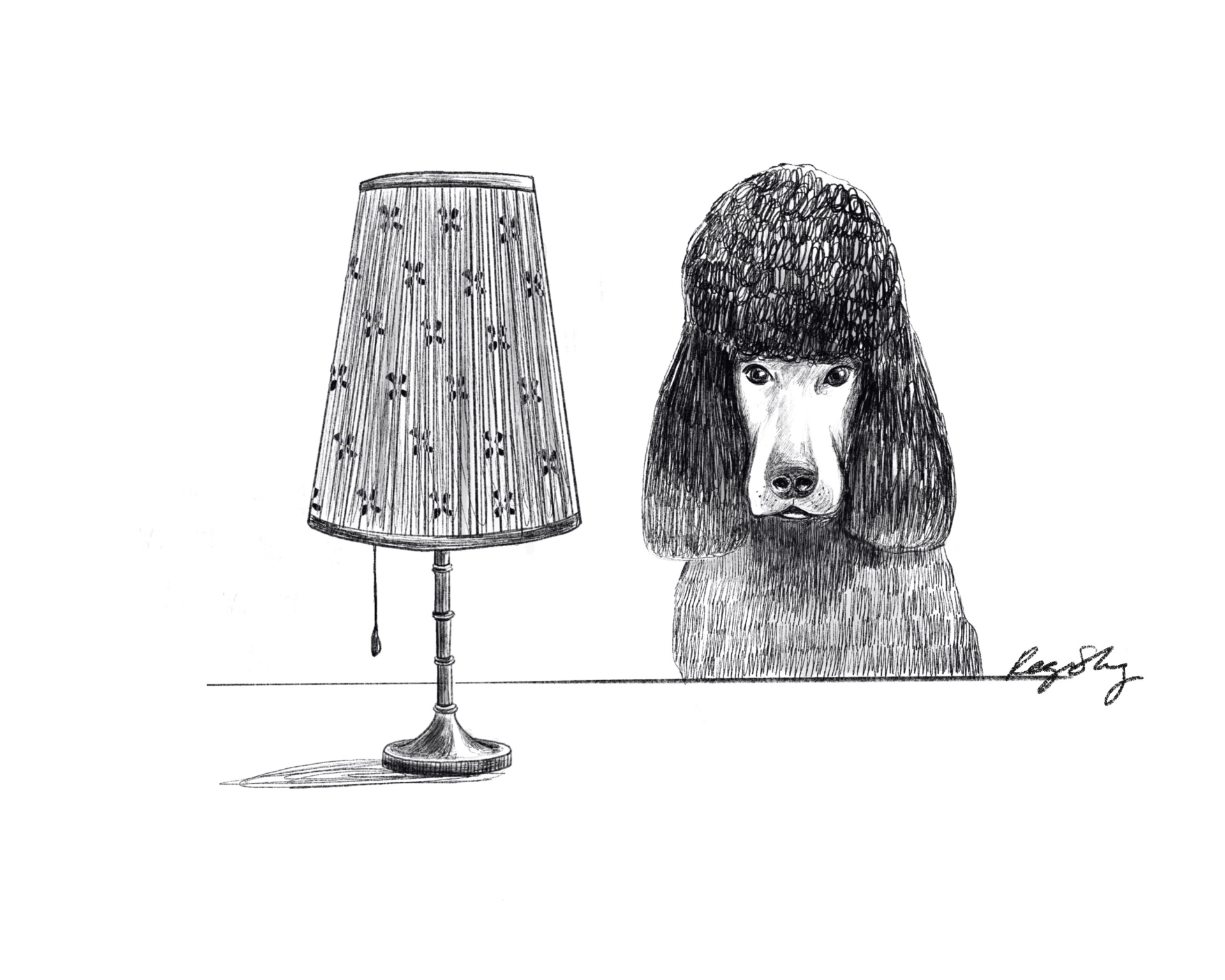 Poodle and Lamp