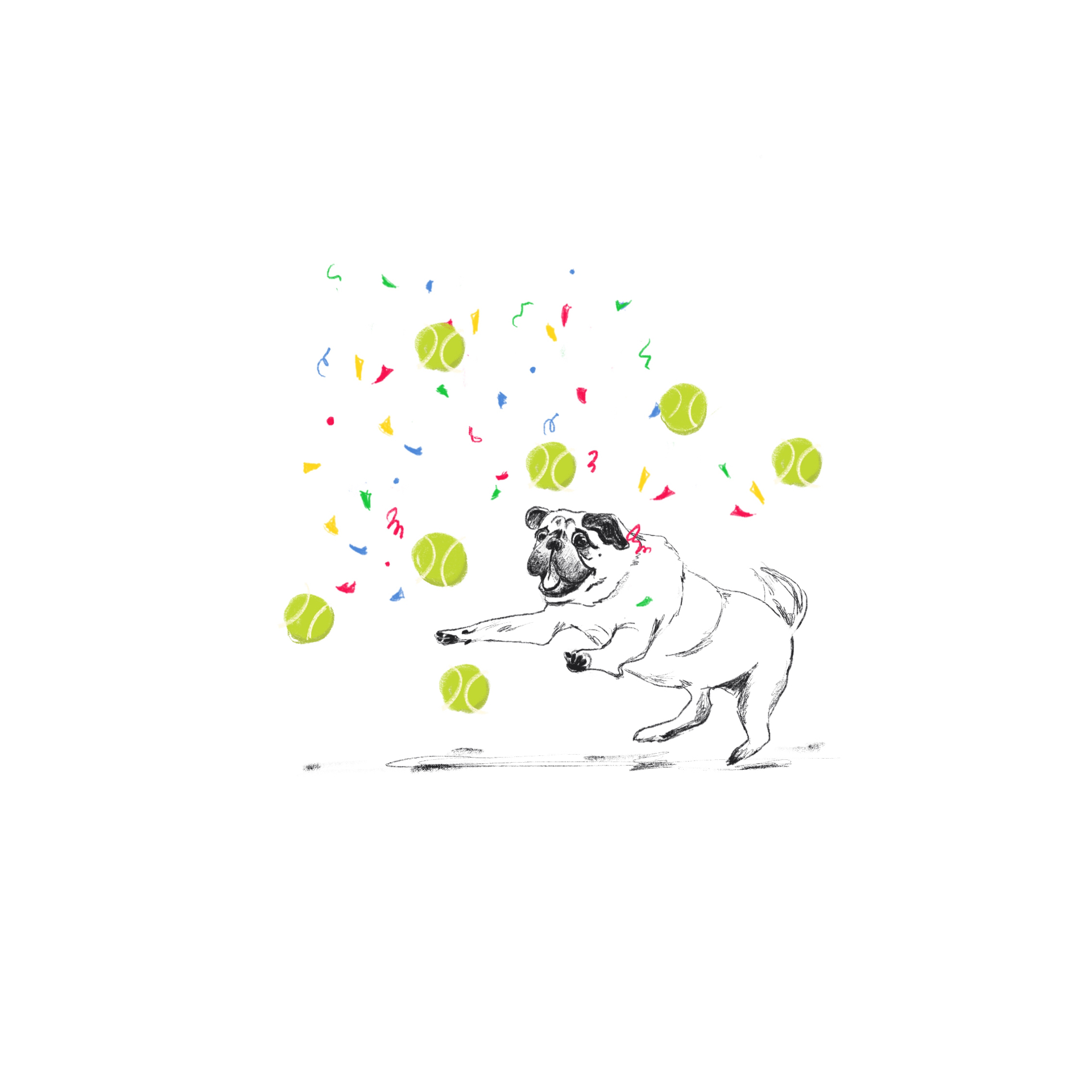 Pug and Tennis Balls