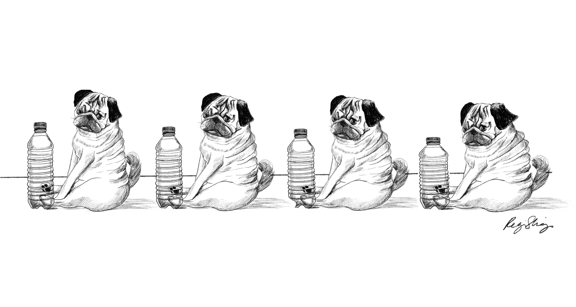 Pugs and Bottles