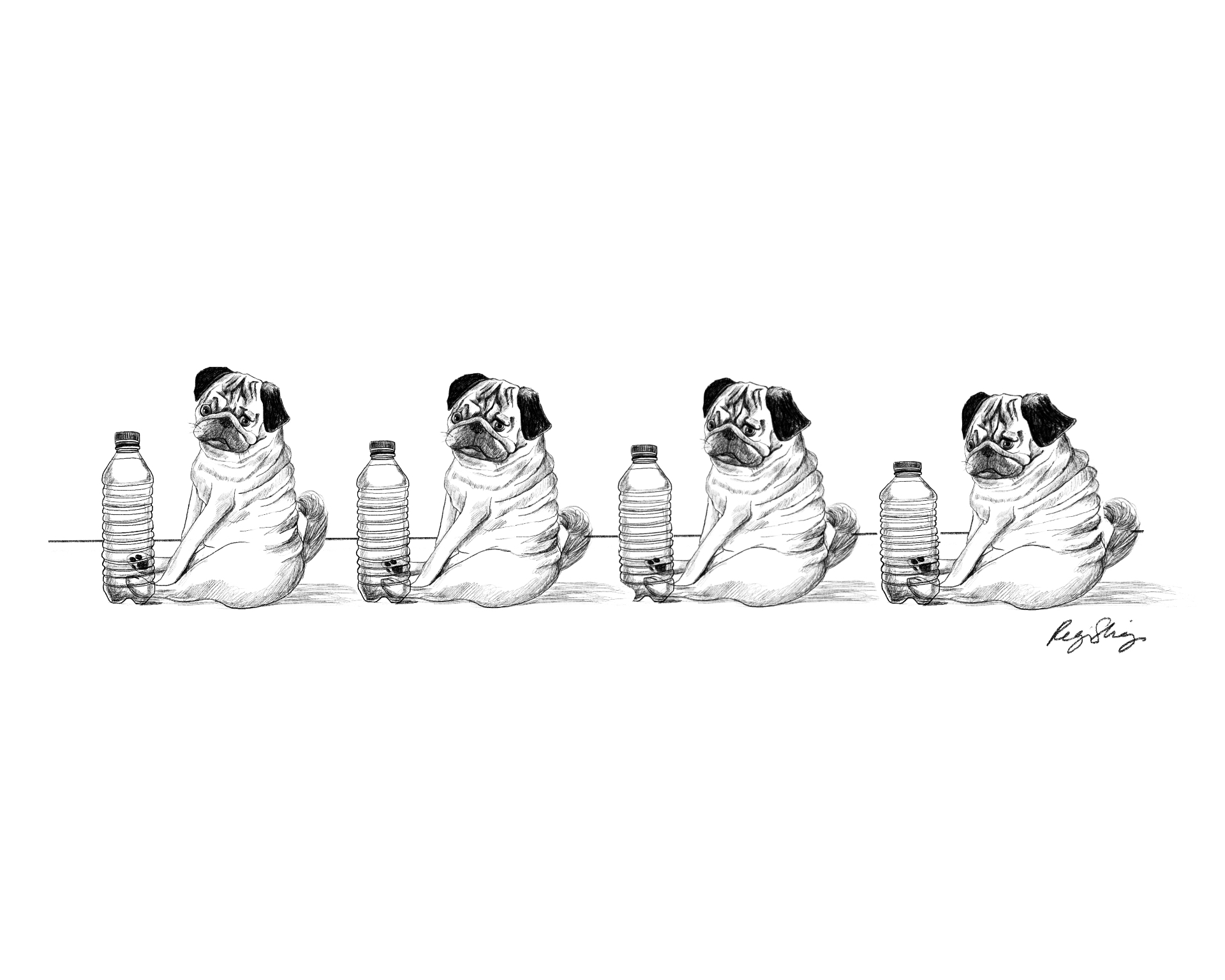 Pugs and Bottles